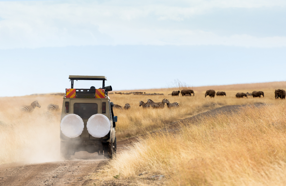 safari travel insurance