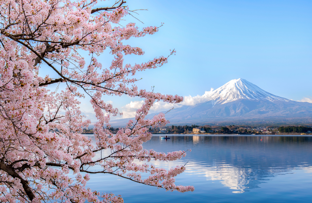 travel insurance japan