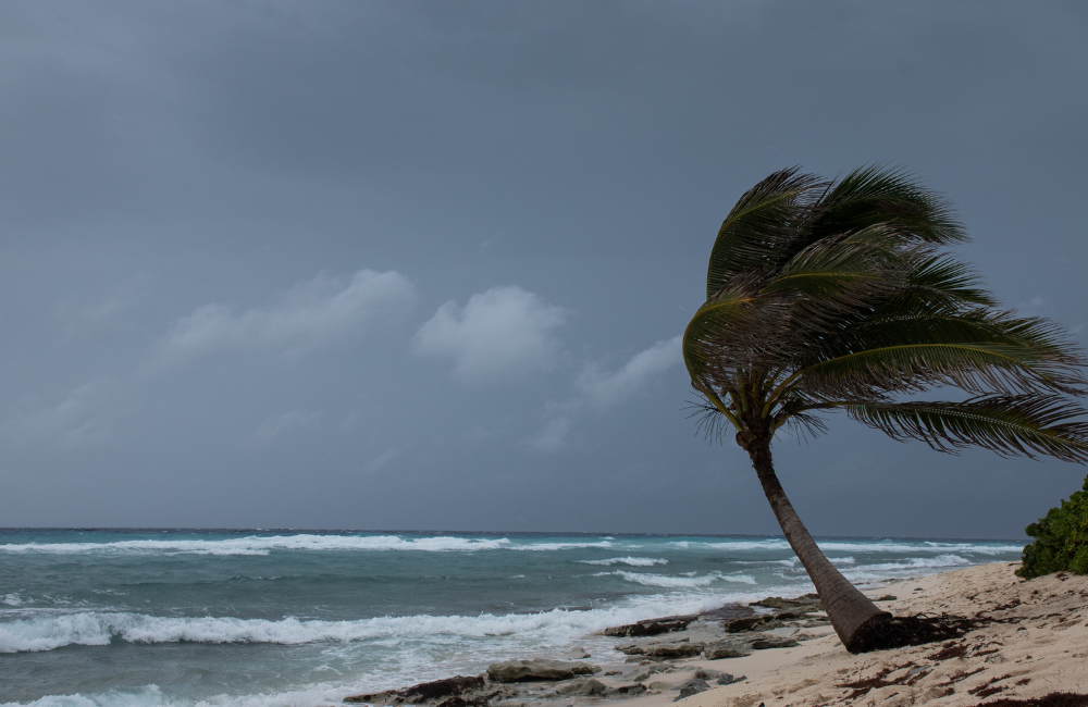 Hurricane Season (June to November)