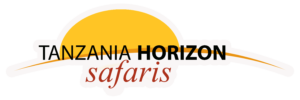 Tanzania Horizon Safaris recommends Rise & Shield travel insurance Tanzania Horizon Safaris recommends Rise & Shield travel insurance