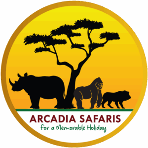 Arcadia Safaris partners with Rise & Shield Travel Insurance Arcadia Safaris partners with Rise & Shield Travel Insurance