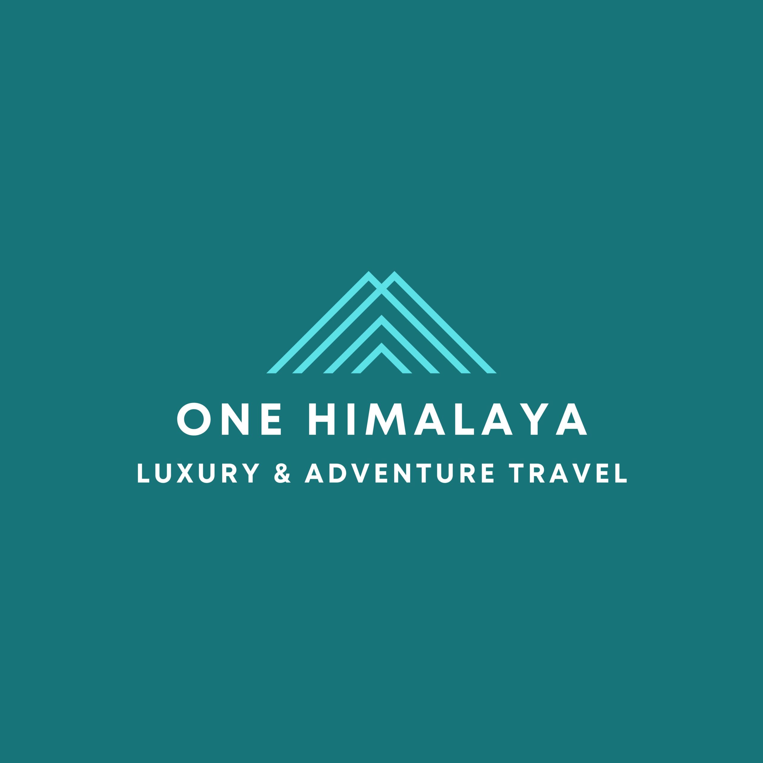 one himalaya logo one himalaya logo