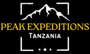 Peak Expeditions Tanzania suggests Rise and Shield travel insurance Peak Expeditions Tanzania suggests Rise and Shield travel insurance