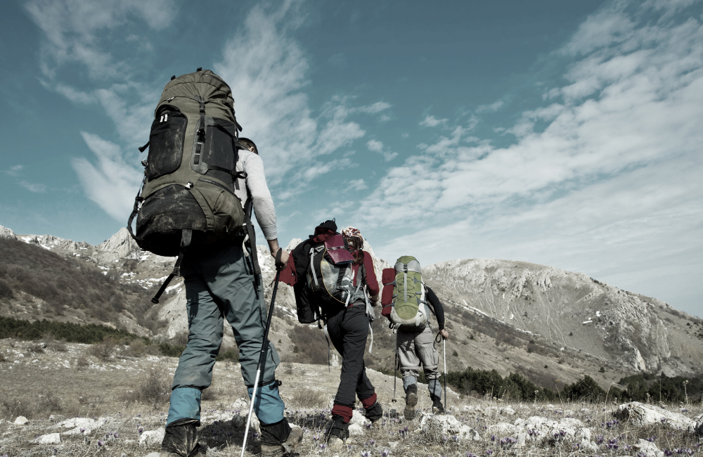 How Was My Experience with Coverwise Travel Insurance