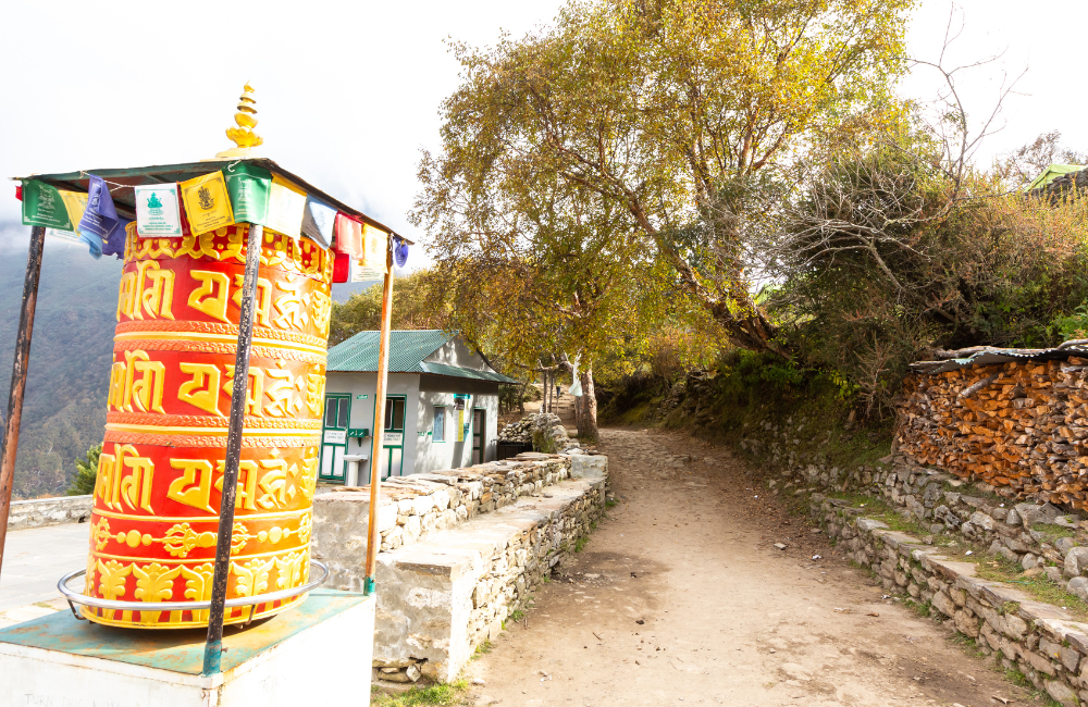 Other Insurance Providers with High-Altitude Insurance