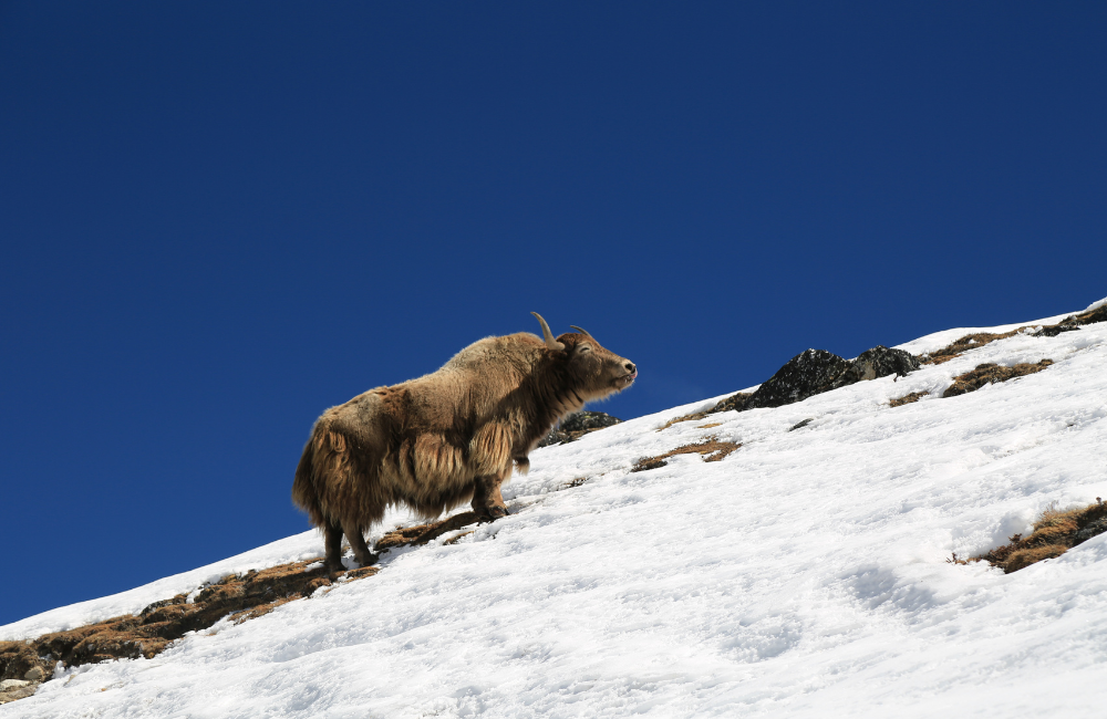 Peace of Mind is Priceless