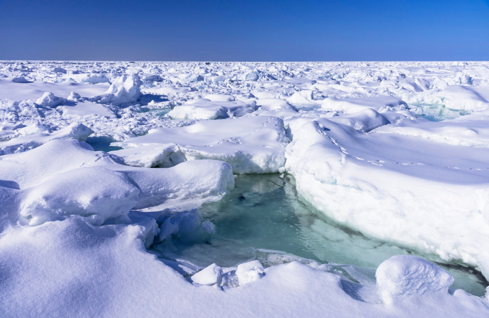 What is Polar Cruise Insurance