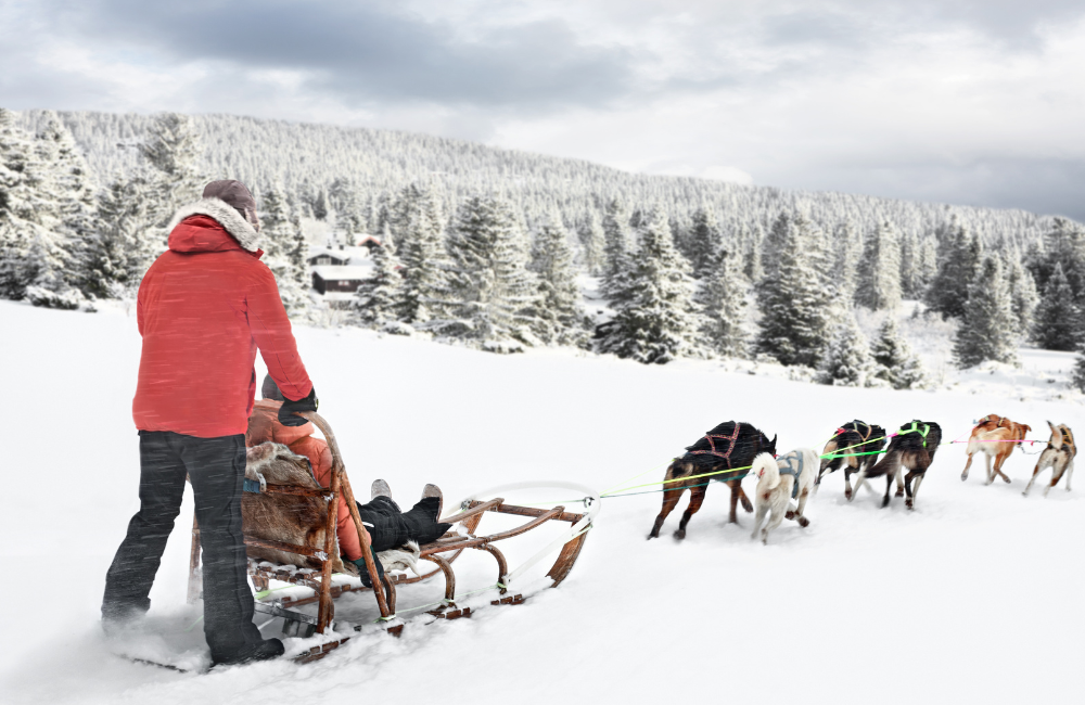 Choosing the right level of cover for your Norway trip Choosing the right level of cover for your Norway trip