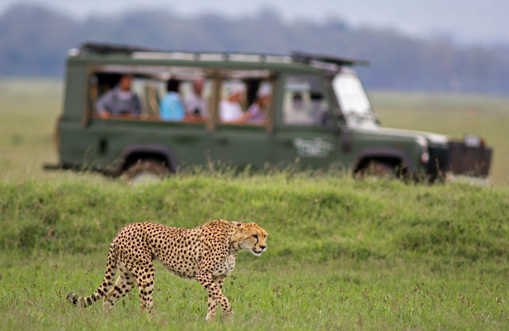 Repatriation Back Home