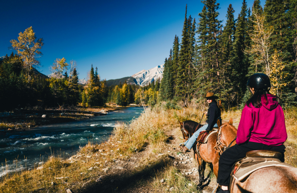 Baggage and Equipment