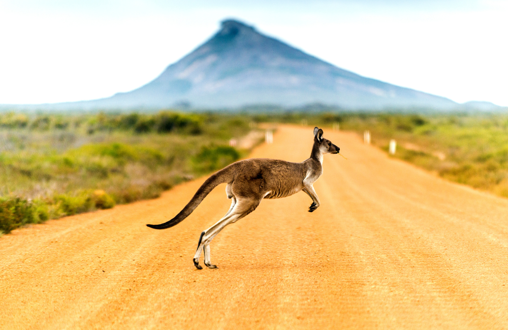 Travel Insurance Australia Travel Insurance Australia