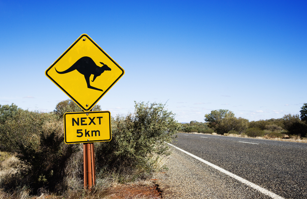 What Should The Best Travel Insurance For An Australia Trip Include