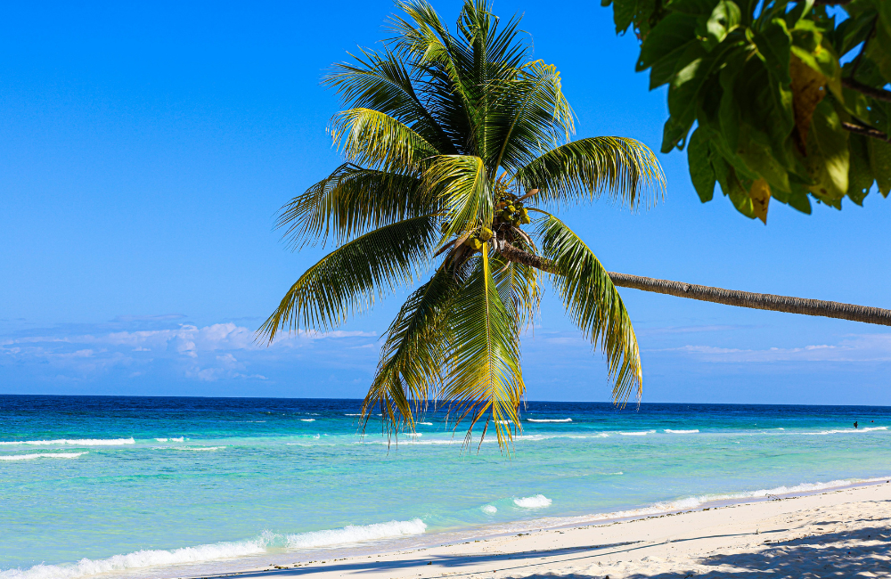 Is It Safe to Travel to Jamaica Right Now Is It Safe to Travel to Jamaica Right Now