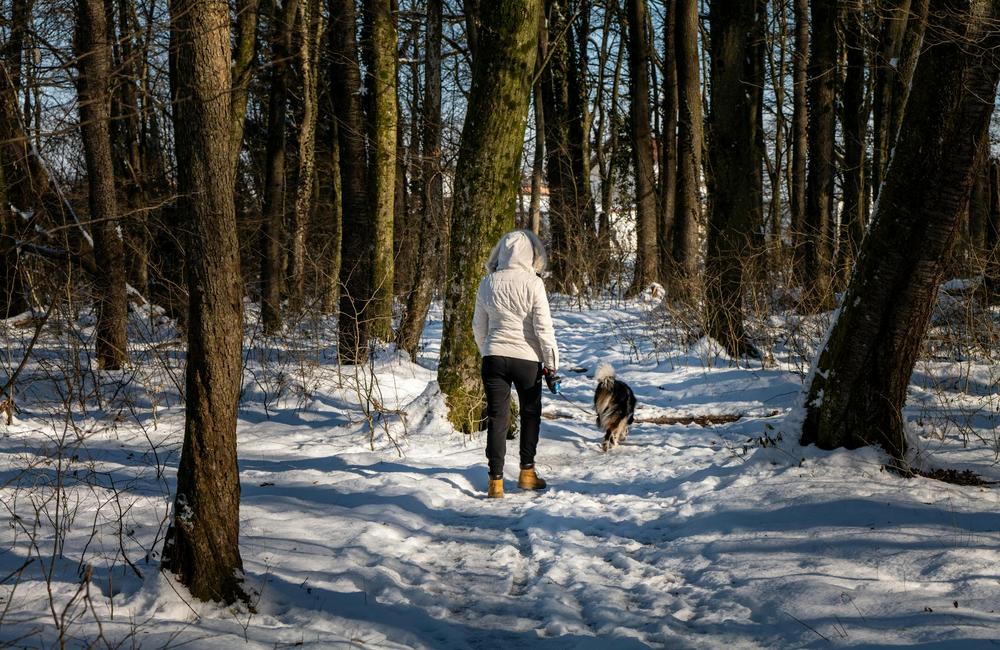 hiking-croatia-trail