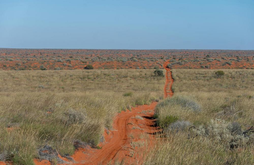 australian-outback-desert